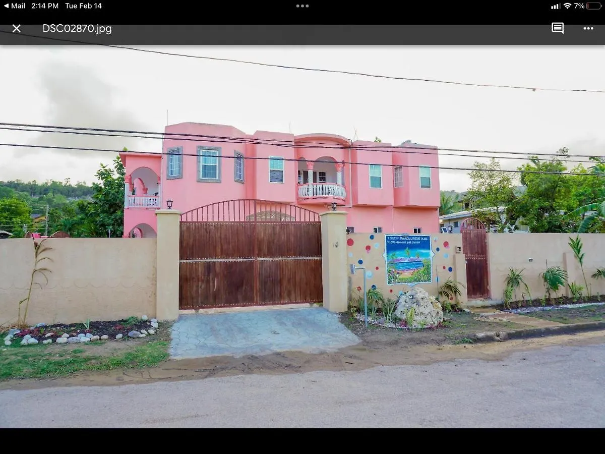 A Taste Of Jamaica Lavern'S Place 奥乔里奥斯